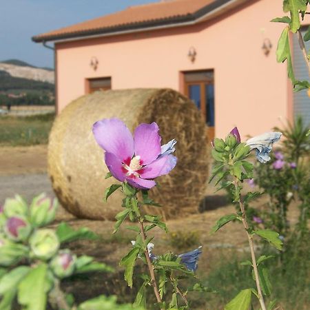 Agriturismo La Nocciolina Venturina Terme Εξωτερικό φωτογραφία