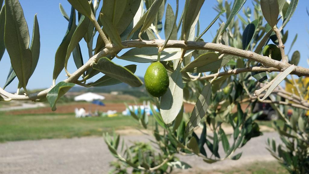 Agriturismo La Nocciolina Venturina Terme Εξωτερικό φωτογραφία