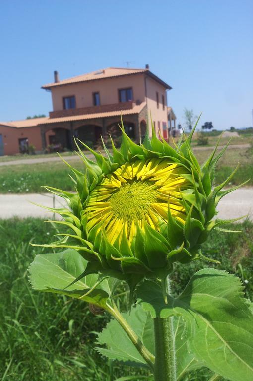 Agriturismo La Nocciolina Venturina Terme Εξωτερικό φωτογραφία
