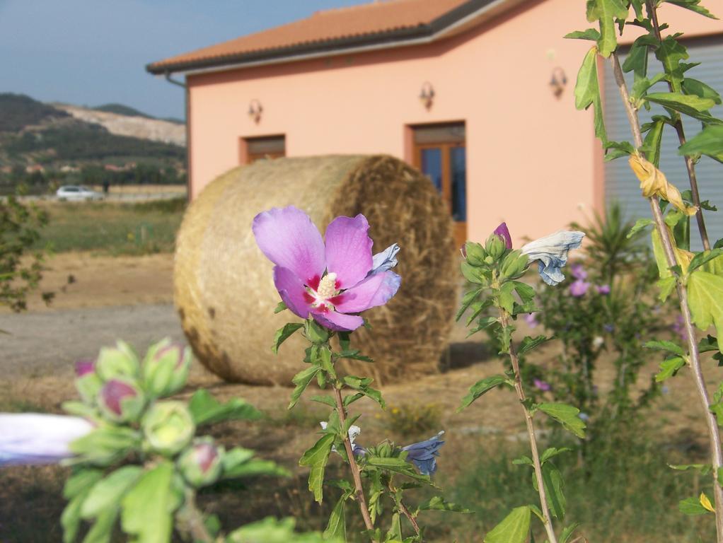 Agriturismo La Nocciolina Venturina Terme Εξωτερικό φωτογραφία