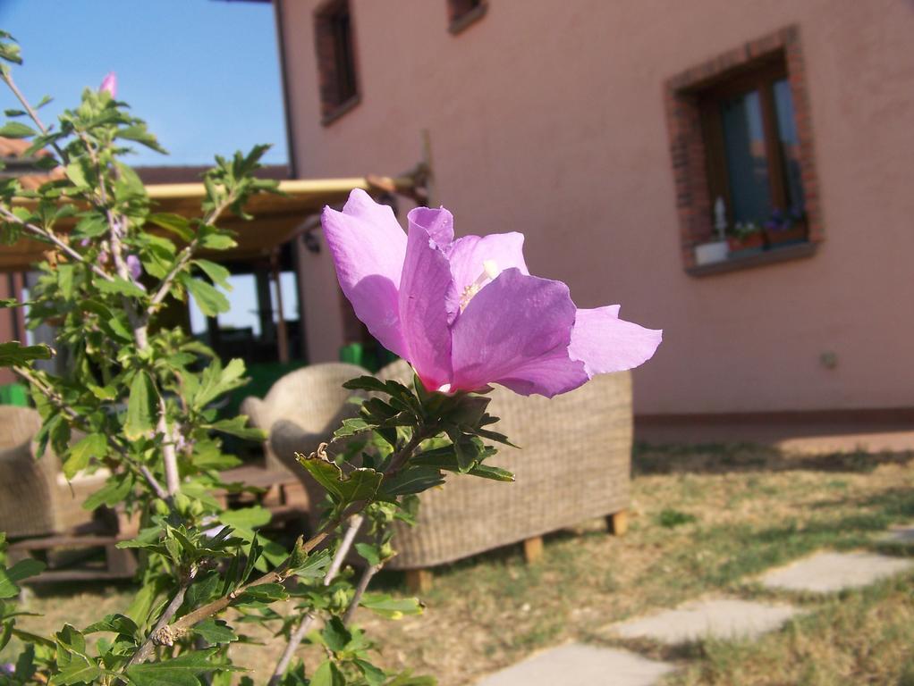 Agriturismo La Nocciolina Venturina Terme Εξωτερικό φωτογραφία