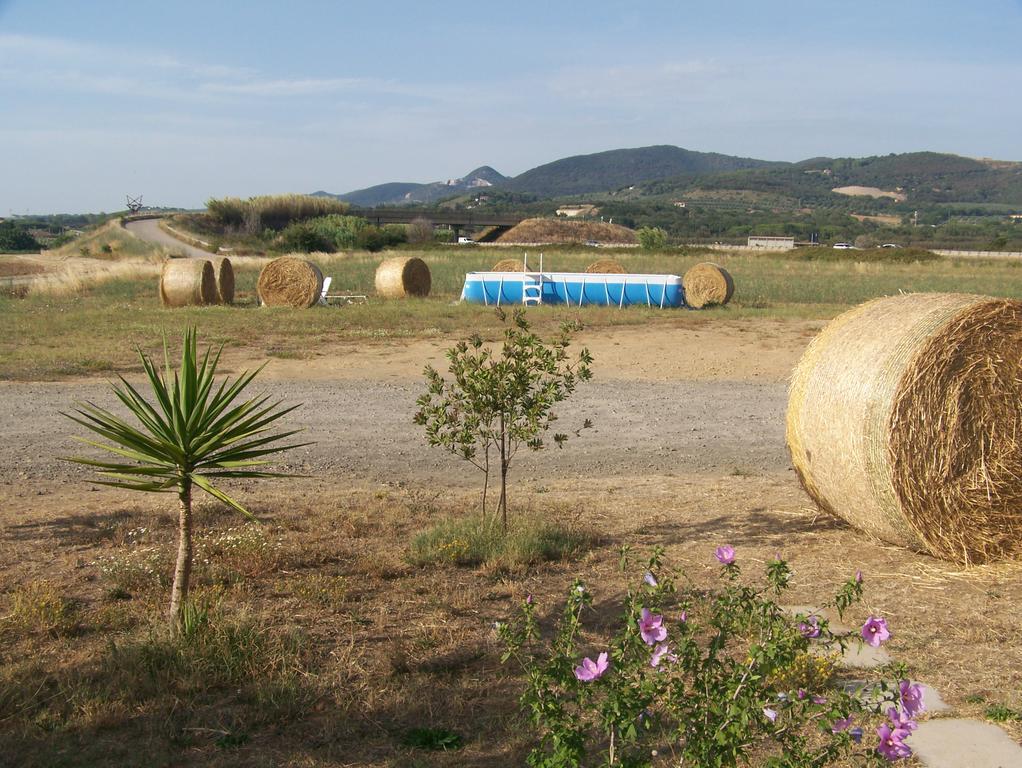 Agriturismo La Nocciolina Venturina Terme Εξωτερικό φωτογραφία
