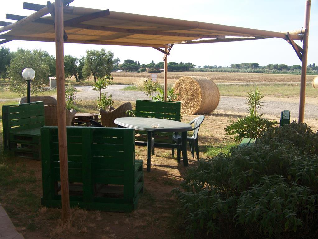 Agriturismo La Nocciolina Venturina Terme Εξωτερικό φωτογραφία